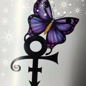 Meet your Posher, Heidi